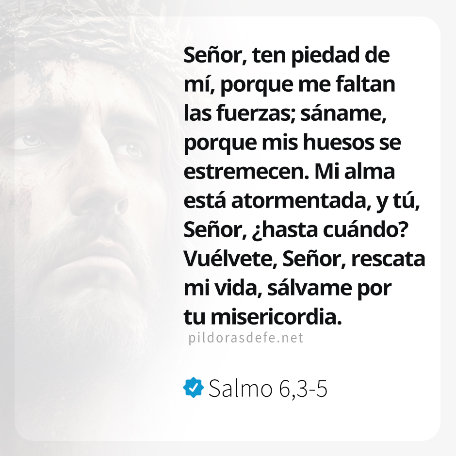 Pildorasdefe tweet media