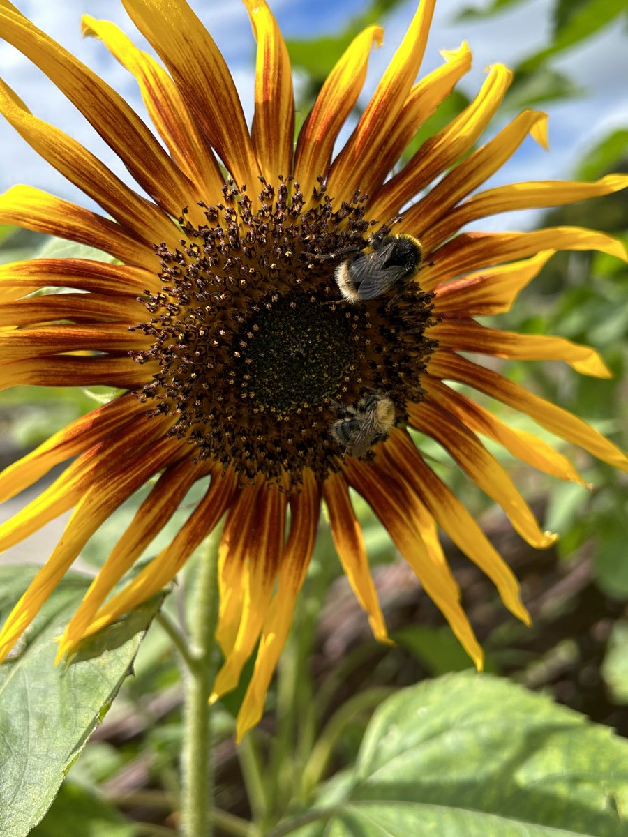 you, me 
together magic 
we create 
#micropoetry #sixwords #6words #poetry