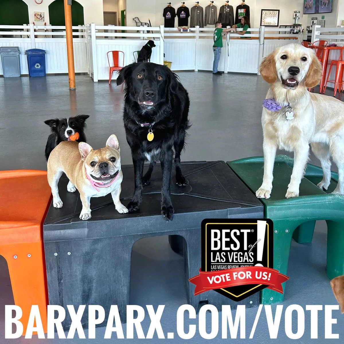 : Your daily reminder to vote 🙏🥰

barxparx.com/vote
🗳️🗳️🗳️
Cast your votes daily
(and on every device)
for Best of Las Vegas 2023!!
💚🧡🐾

Fur-riends, we are humbled and honored to have been nominated ... #dogs #dogsoftwitter #dogpark #barxparx instagram.com/p/CxERIedSMFE/