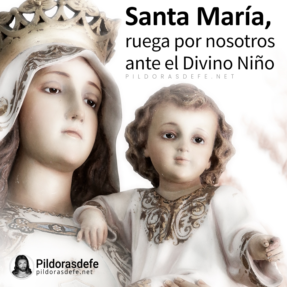 💫 Guíanos, Dulce Madre de Dios, a través de los desafíos que vamos a afrontar en este nuevo día. Nos cobijamos bajo tu manto para sentir tu amorosa protección de madre en este nuevo día.