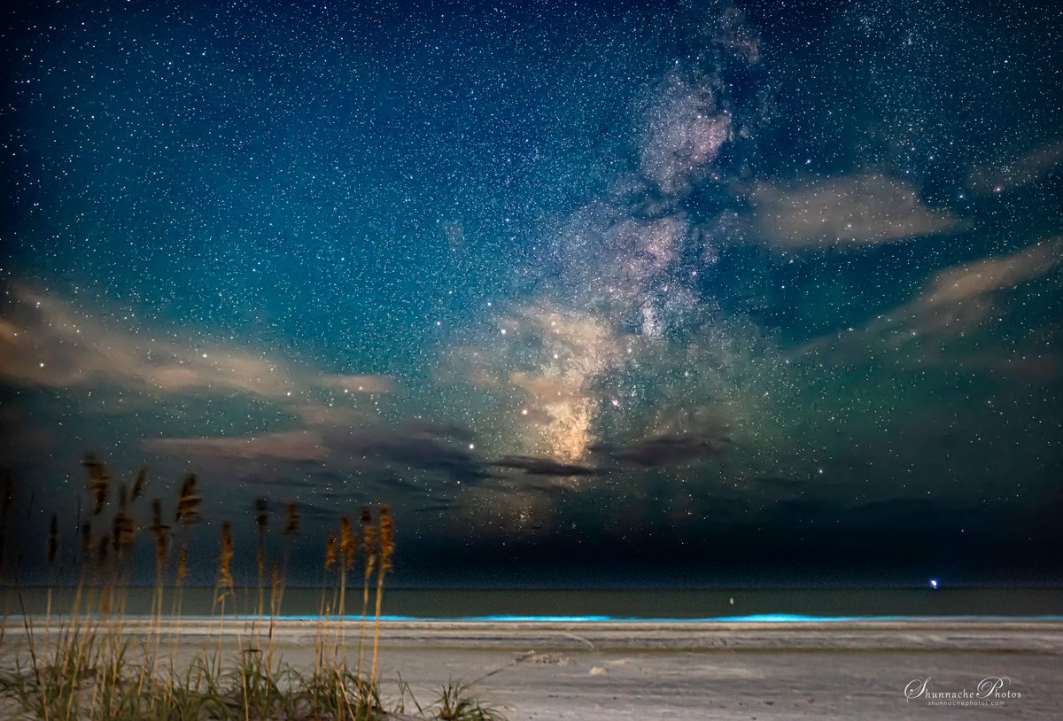 WFLA NEWS (@wfla) on Twitter photo "If you can get here while it's still happening, do it!"
Bioluminescent algae bloom dazzles beachgoers on Anna Maria Island bit.ly/3P6nke4 "If you can get here while it's still happening, do it!"
Bioluminescent algae bloom dazzles beachgoers on Anna Maria Island bit.ly/3P6nke4