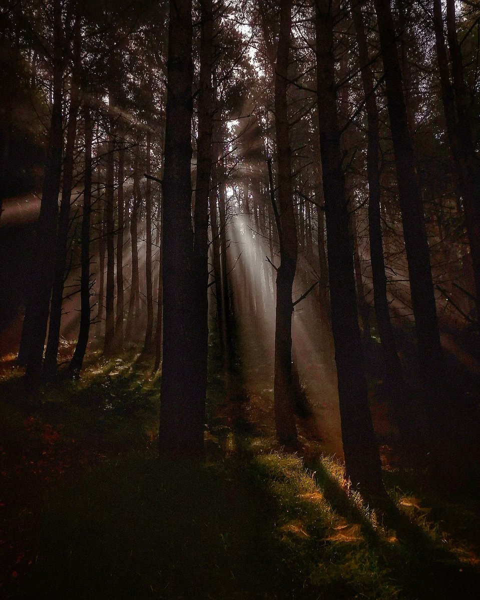 When you're lost in the darkness, look for the light.... #Scotland