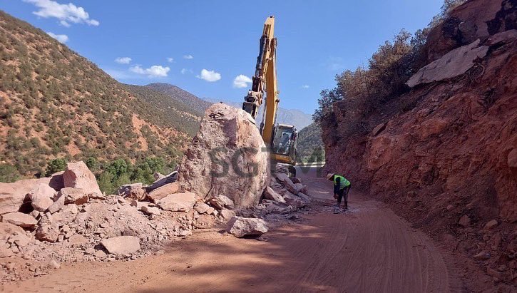 Bonzai Agency tweet media