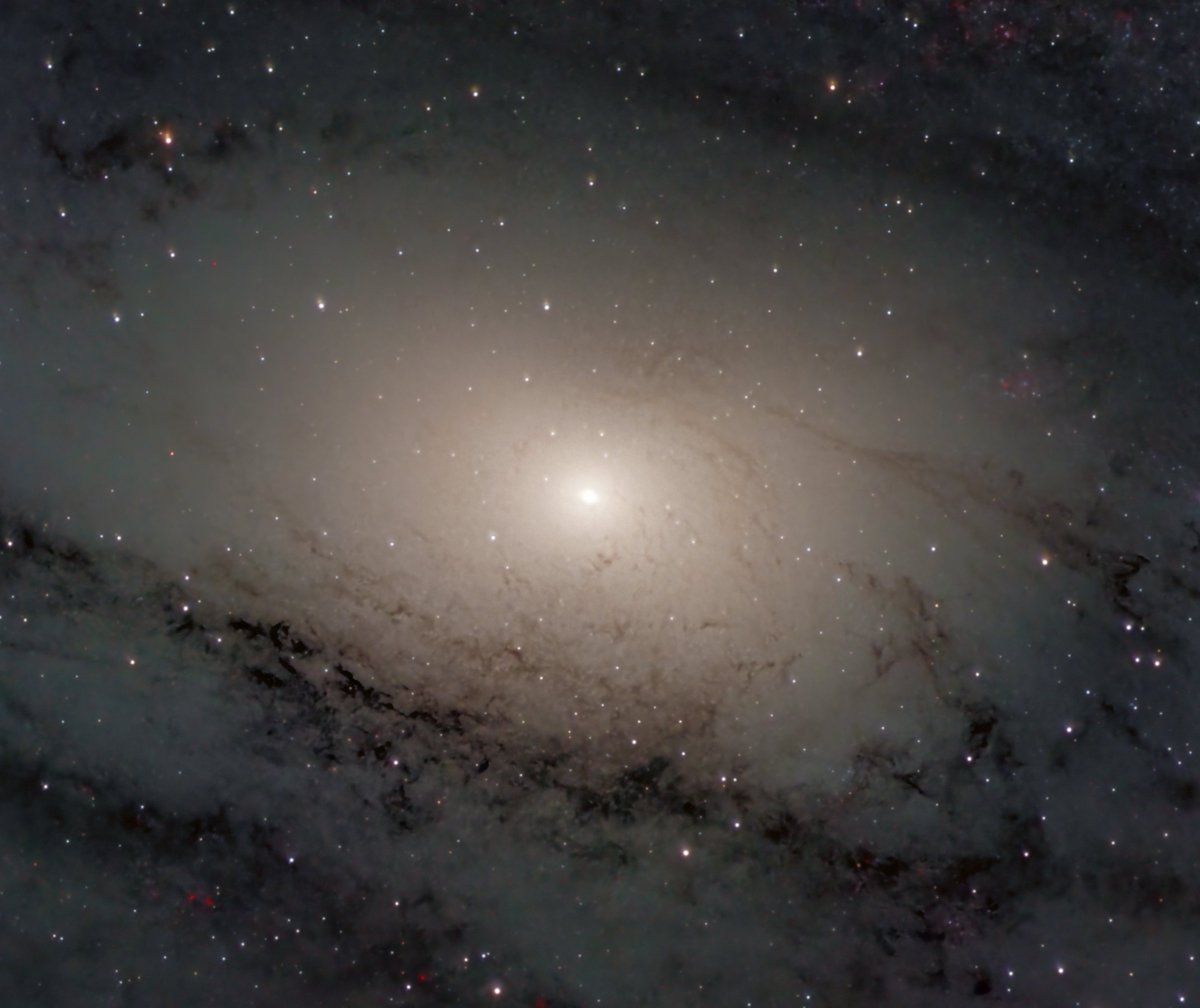 AJamesMcCarthy's tweet image. I used an 8" telescope pointed right at the heart of the Andromeda galaxy to capture this photo. 

Galaxies are deceptively easy to photograph. In fact, your average kit lens and DSLR is capable of capturing this one. Just need dark skies and a bit of knowhow.