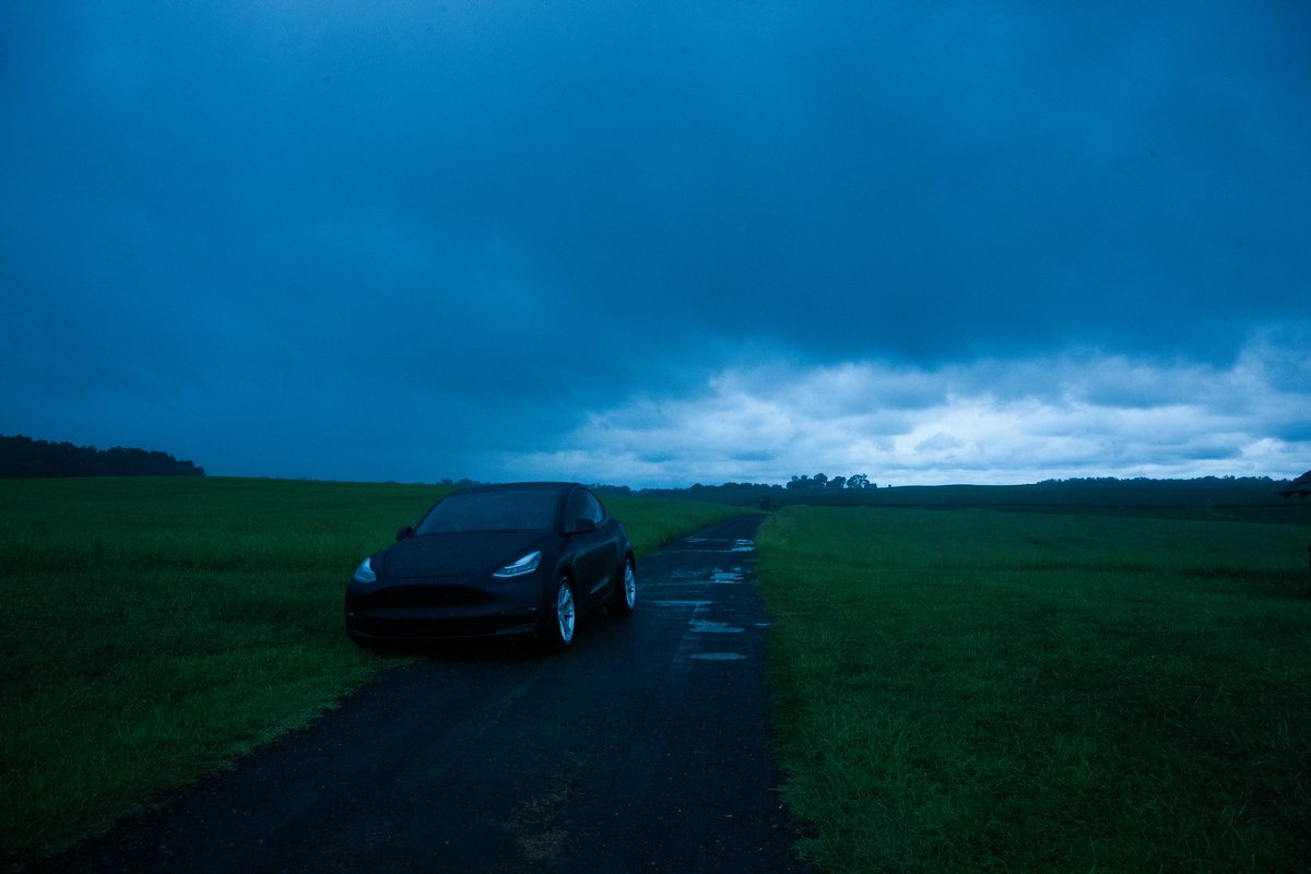 Daisy, photographed in Culpeper, Pennsylvania, 2022. #tesla #modely #photographer