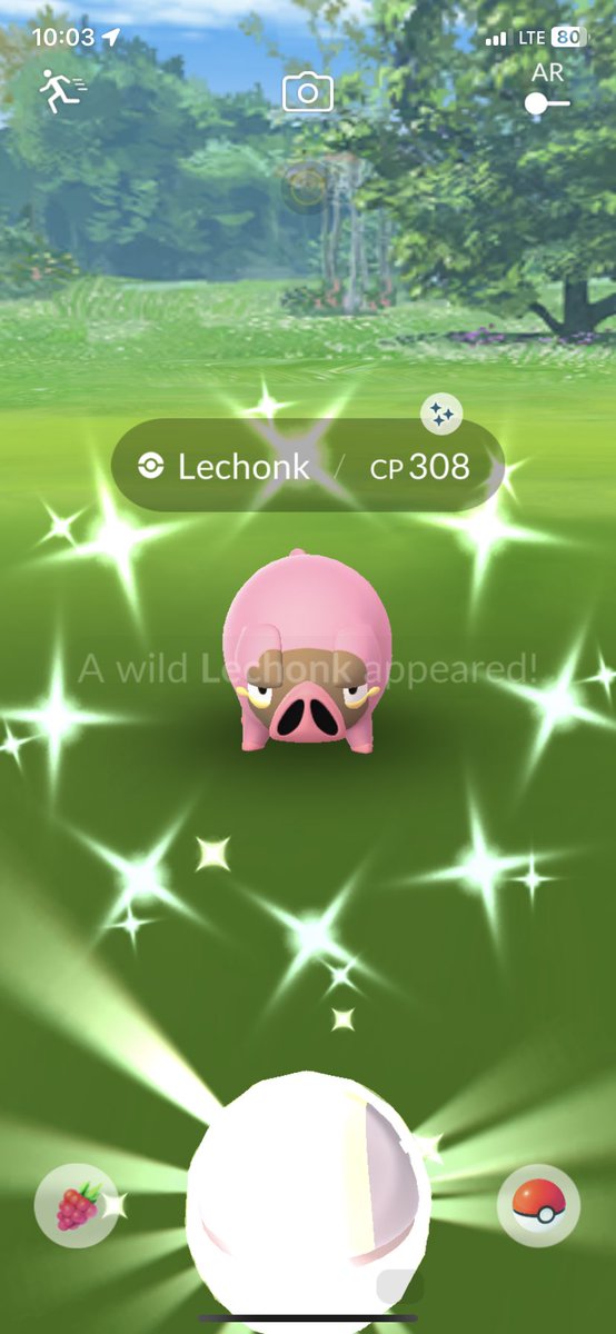 Todays #ShinyPokemon ✨ #Pokemon #PokemonGO