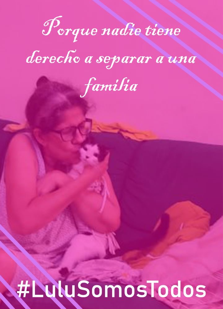 NuriTrejo's tweet photo. #11Sep Declaro públicamente a los q se atreven a escribirme, burlándose de mi dolor, quizás con la intención q calle y no siga en mi lucha x #LuluSomosTodos que DIGAN LO Q DIGAN, HAGAN LO Q HAGAN no es opción #Seguimos tras tus🐾🐾hasta tenerte #Respeto #Justicia #DevuélvanALulu https://t.co/GHOr1Wq34l