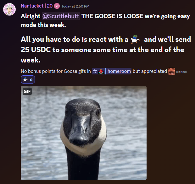 If you're not in the <a href="/flunks_nft/">Flunks</a> discord getting an easy shot at 25 USDC.. WHAT ARE YOU DOING?

who gave <a href="/nantucket0/">Nantucket</a> the keys this week?

#scuttlebutt #easymoney #homecoming
#gooseisloose