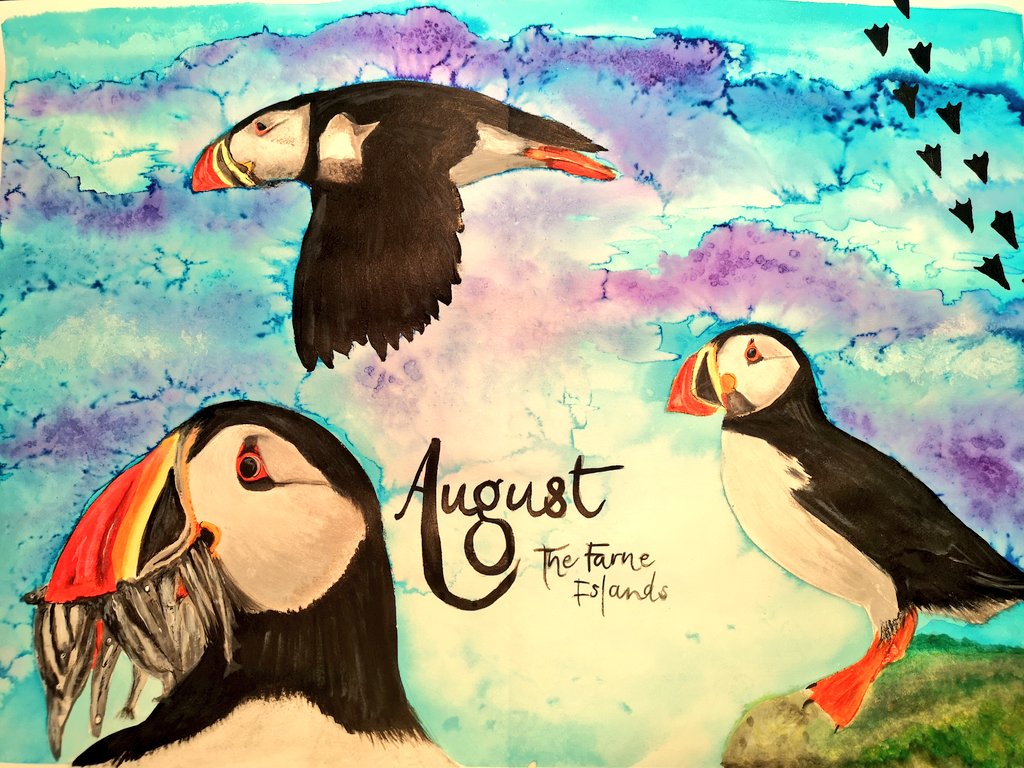 Only time for a quick entry for this month. So many projects on the go!
#busybee #sketchbookcircle #August #puffins #thefarneislands #northumberland #ArtistOnTwitter  #painting #sketchbook #creativitymatters #art #arteveryday #colourful #inks #watercolours #saltresist #Birds