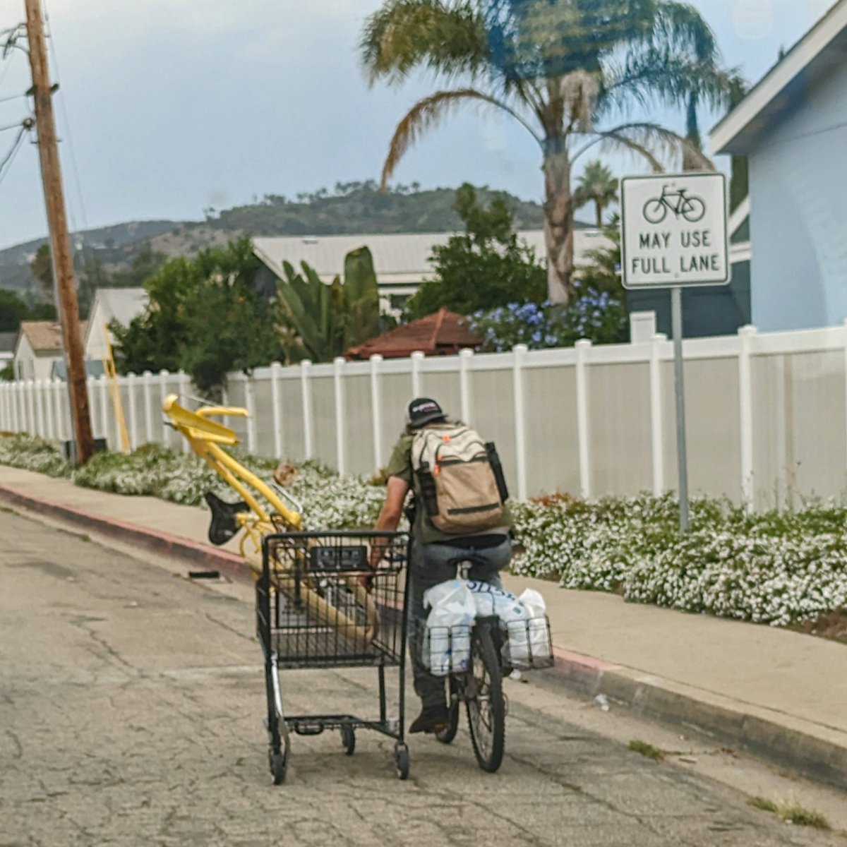 tehHotSauce's tweet photo. @AreYouGarbage have you ever ridden a bike while holding a shopping cart with another bike https://t.co/TnKMS4RviK