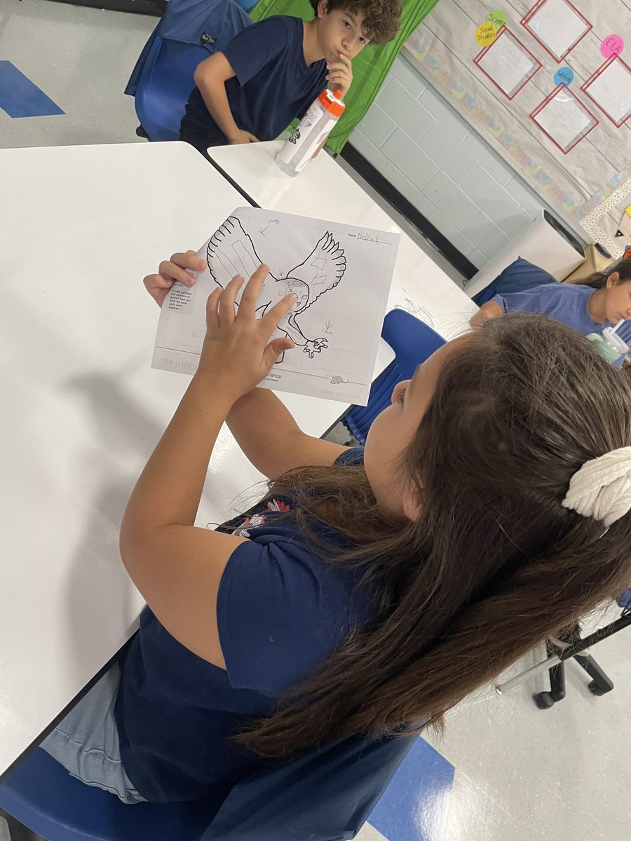 MissCiandella's tweet image. Today, we explored what internal and external structures are at work when an owl catches its prey! What a fun way to begin thinking about how our bodies must work. #humanmachine @HazletProud