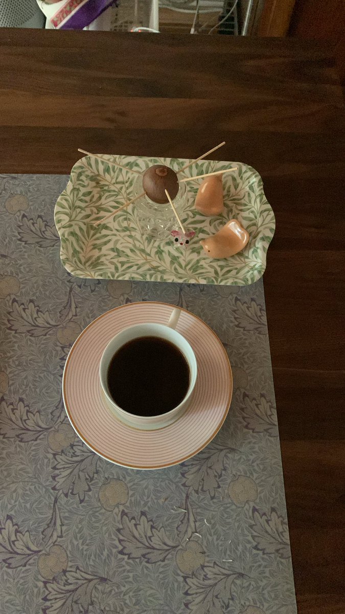 朝のcoffeeと
アボガドの種成長記録

#暮らしを楽しむ 
#アボガド
#coffeesesh 
#siroca
#コーヒー好きな人と繋がりたい