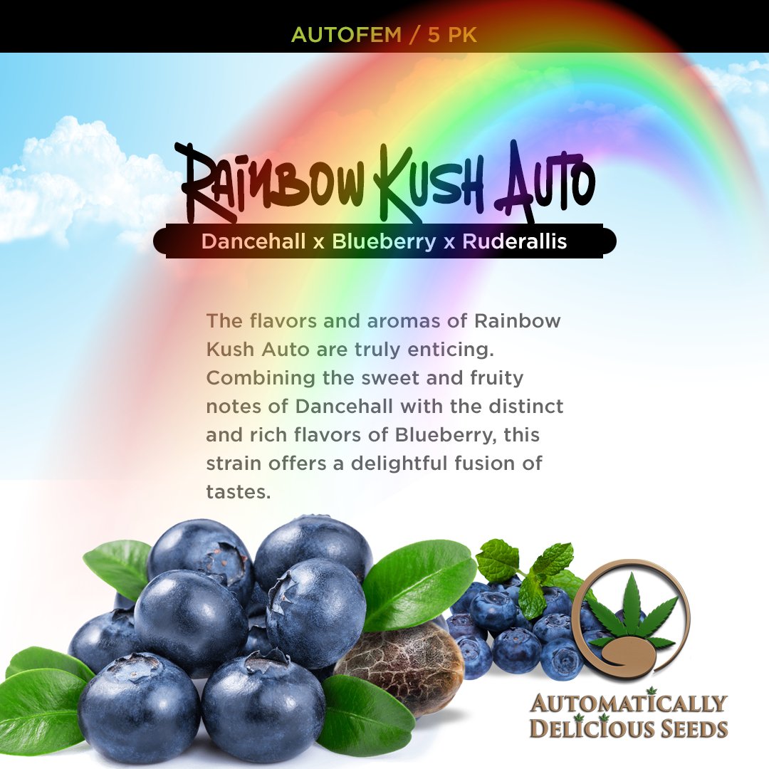 AutoDelish's tweet image. A harmonious blend of cerebral and physical sensations that can enhance creativity, promote relaxation, and provide a general sense of well-being: bit.ly/auto-delish-se…

#Cannabis #CannabisCommunity #cannabislife #420community #420Life #cannabisgrowers #seedsherenow #autodelish