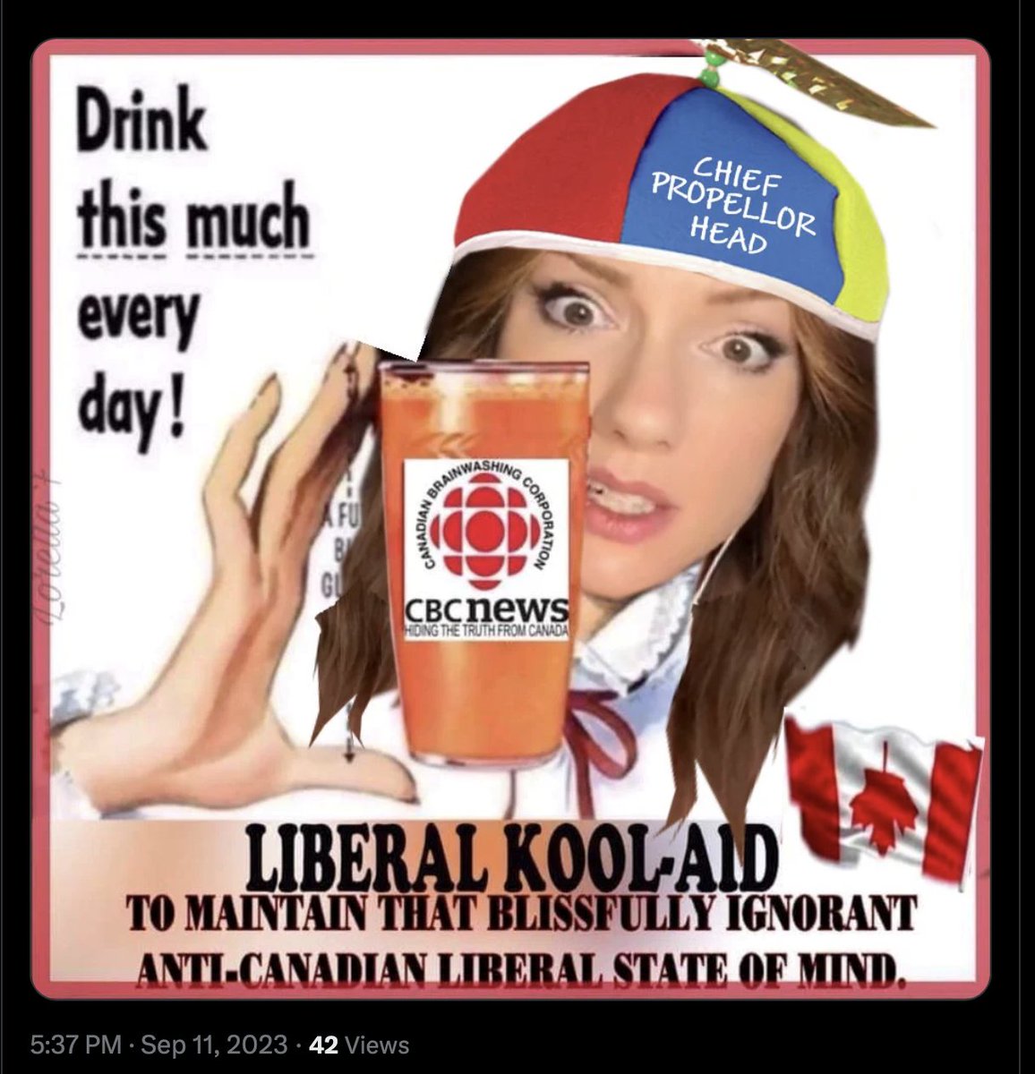 I honestly wonder what my trolls could accomplish in their own lives if they didn't spend so much time photoshopping pictures of my face online