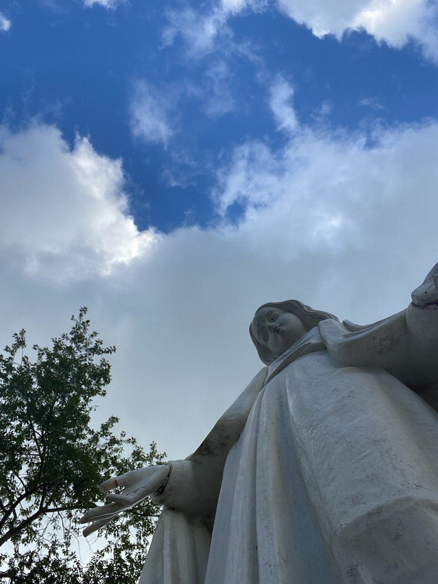 St. Mary Assumption tweet media