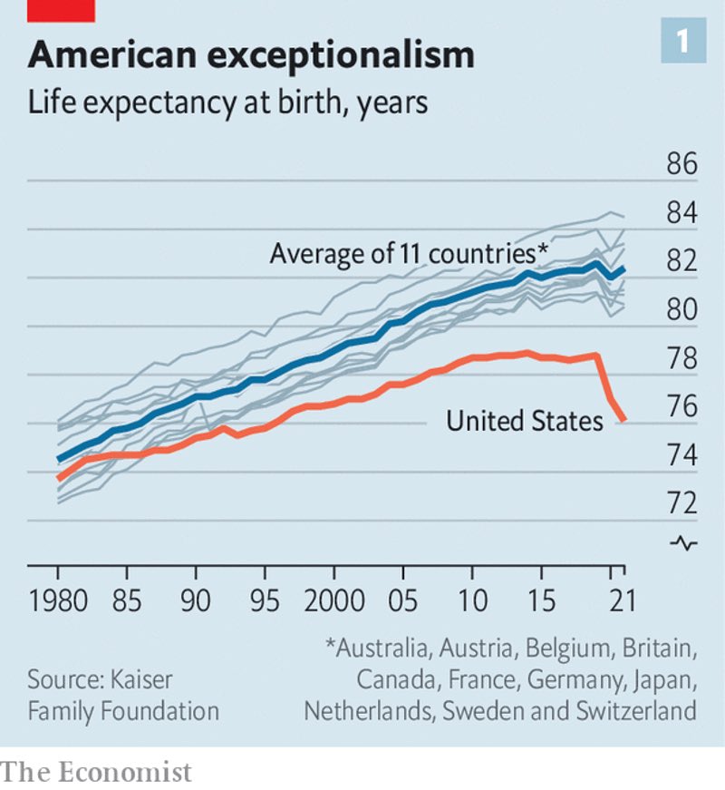 Thornbill9 tweet media