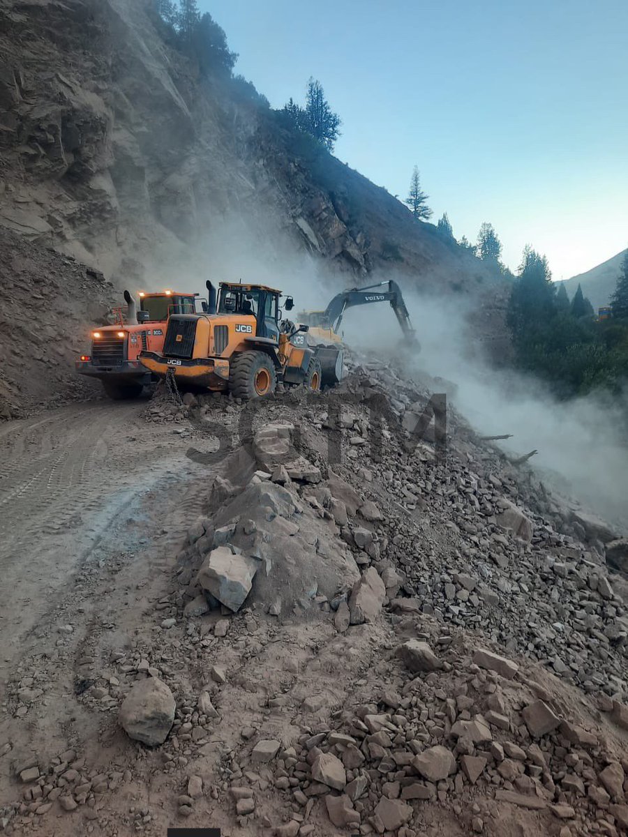 Bonzai Agency tweet media