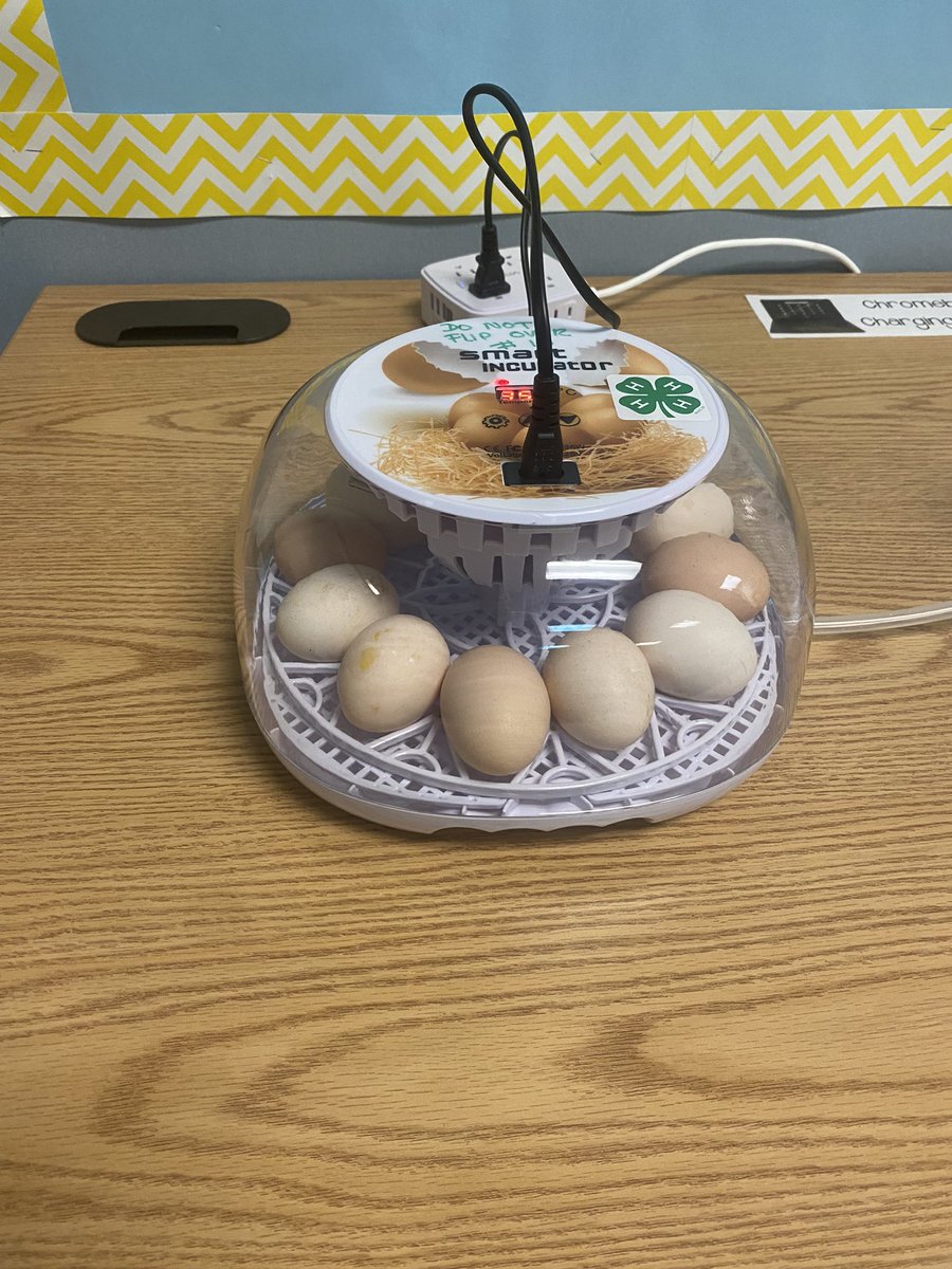 Lauren Harris tweet media