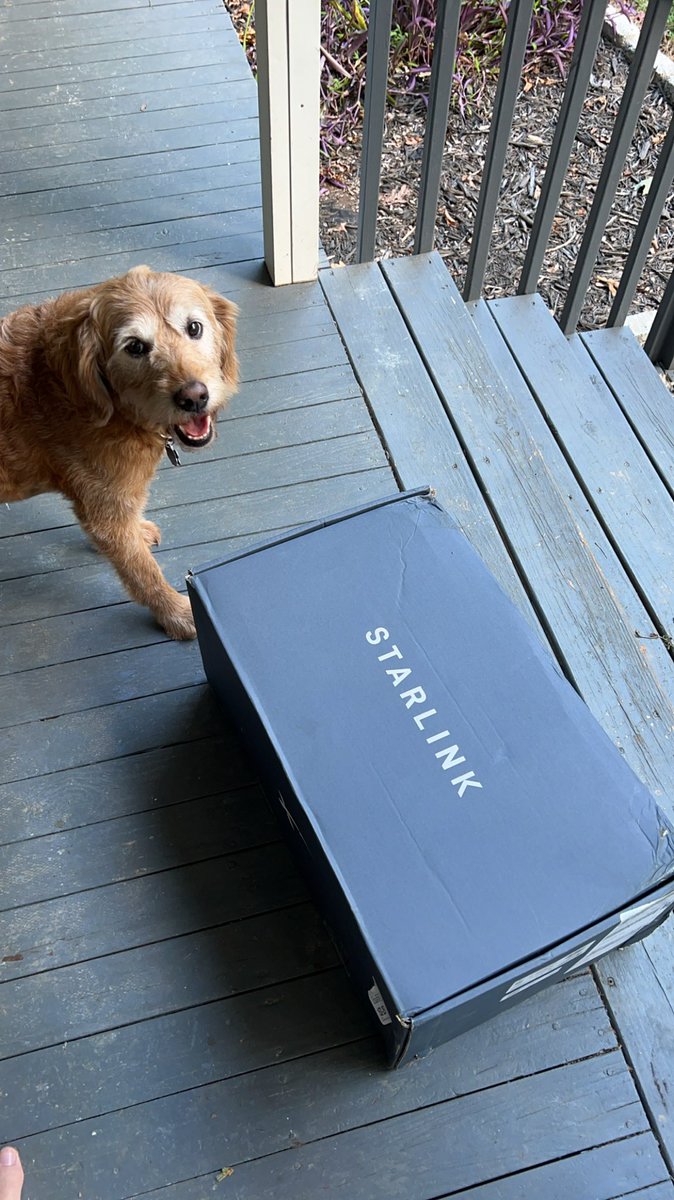 Austin Lopesilvero tweet media