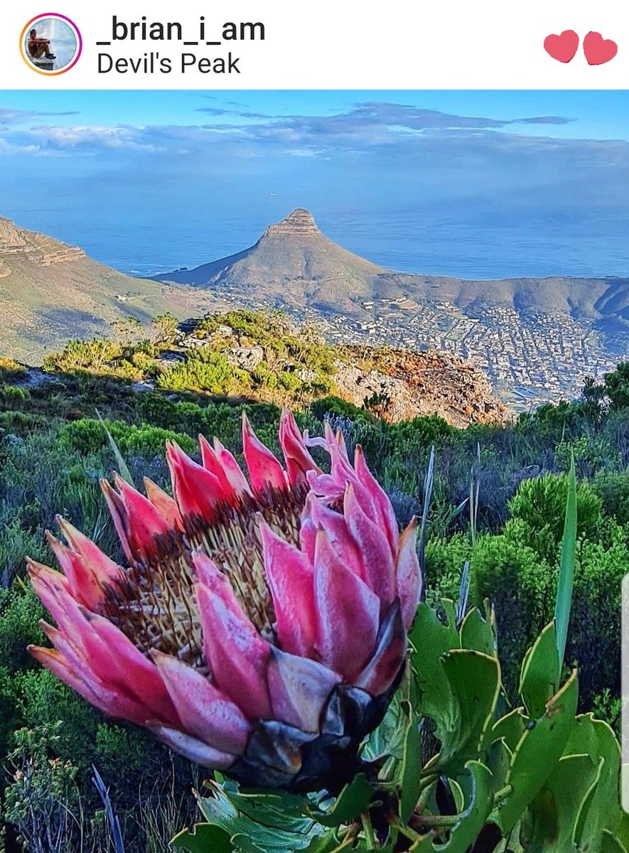 Let's not forget it's Spring.
Warmer days will come again soon.

Enjoy #TravelTuesday! 

📸 Brian van Hansen