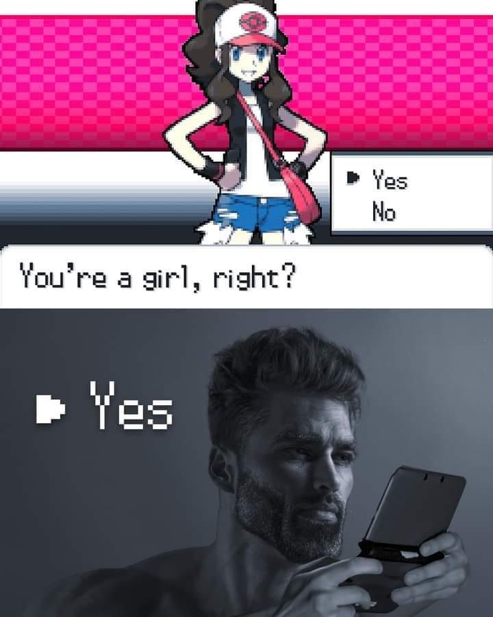 Egg 👍IRL #Transfem Meme redd.it/16gdq3n