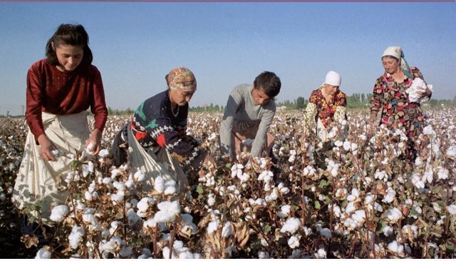 #Pamuk fiyatı hesaplama !

Ben ekrana genelde direkt olarak pamuk #fiyatı yazmam. Çünkü bölgeye, ürüne, kaliteye ve zamana  göre farklılık gösterir. 

Yine de bir örnek verelim. Bu günlerde duyduğumuz 45 TL Pamuk fiyatı, 1 kg balya #prese pamuğun tl olarak fiyatıdır. 

Tarladan