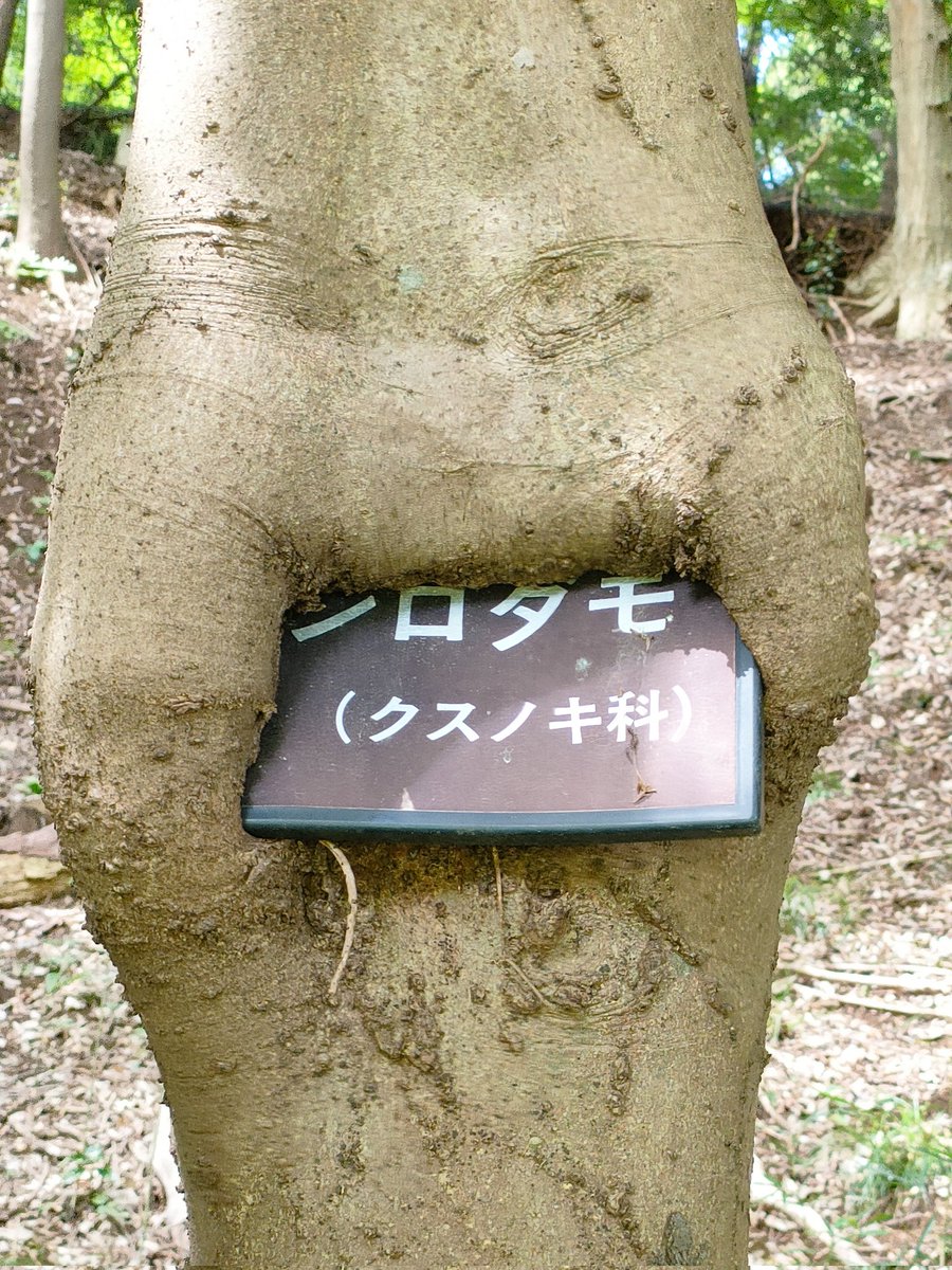 もぐもぐ…
