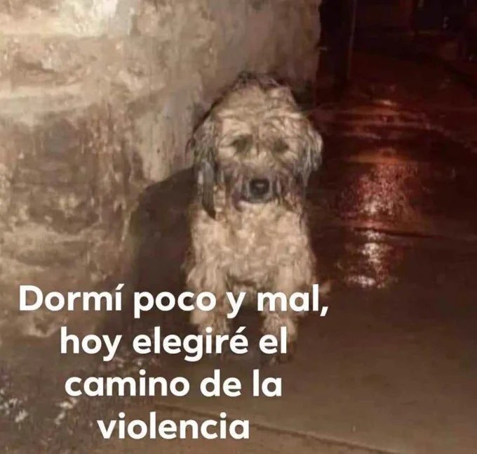 Memakker (@memakker) on Twitter photo 