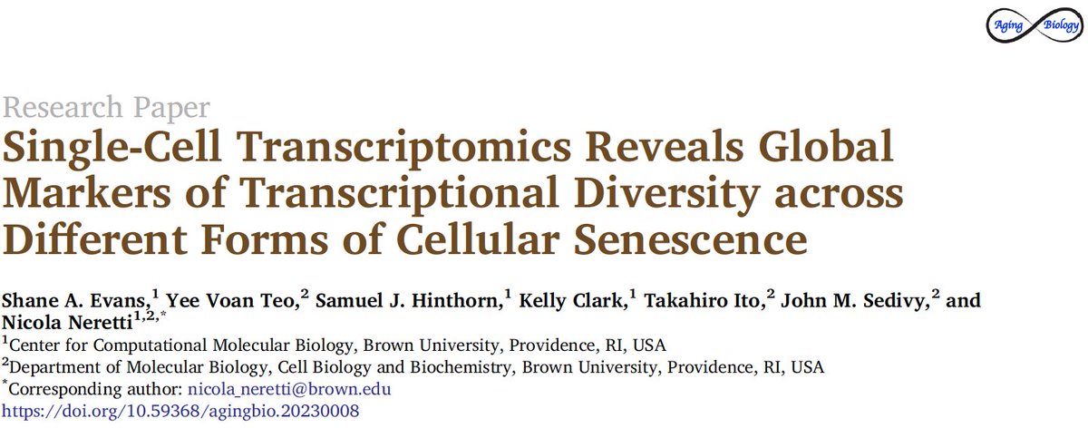 AgingBiology (@agingbiology01) on Twitter photo Aging Biology : Single Cell Transcriptomics Reveals Global Markers of Transcriptional Diversity Across Different Forms of Cellular Senescence-------Shane Evans, Nicola Neretti and coworkers. doi.org/10.59368/aging⦠<a href="/ICSA_senescence/">International Cell Senescence Association</a> <a href="/agingdoc1/">AgingdocāDavid BarzilaišMD PhD MS MBA DipABLMš©ŗ</a> <a href="/AgingBiology/">Aging Science News</a> <a href="/BrownBoA/">Brown Center on the Biology of Aging</a> Aging Biology : Single Cell Transcriptomics Reveals Global Markers of Transcriptional Diversity Across Different Forms of Cellular Senescence-------Shane Evans, Nicola Neretti and coworkers. doi.org/10.59368/aging⦠<a href="/ICSA_senescence/">International Cell Senescence Association</a> <a href="/agingdoc1/">AgingdocāDavid BarzilaišMD PhD MS MBA DipABLMš©ŗ</a> <a href="/AgingBiology/">Aging Science News</a> <a href="/BrownBoA/">Brown Center on the Biology of Aging</a>