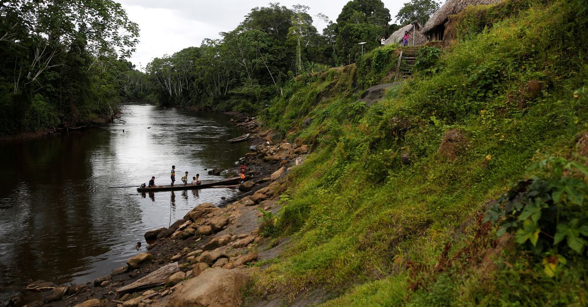 Peru and US strike $20 mln Amazon-focused debt for nature deal reut.rs/45PhcOs