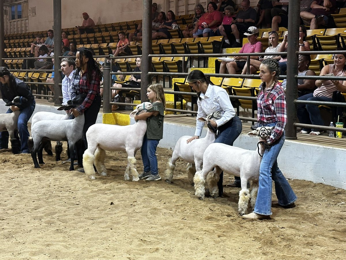 This past Thursday, our students participated at the Iredell County Fair to show sheep. They all did a great job and are getting excited for their next show for the Rowan County Fair! 🐑🐑 <a href="/southrowanFFA/">South Rowan FFA</a>