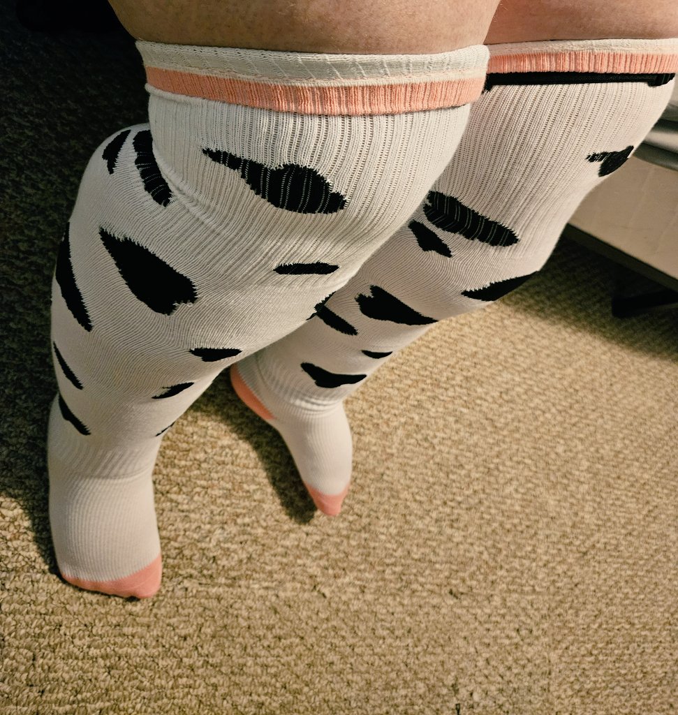 HoneyCowAD's tweet photo. #irlpics these cow thigh highs are genuinely awesome

They're rolled down at the top because im also wearing a thigh belt ^^; https://t.co/OykkwfJXa8