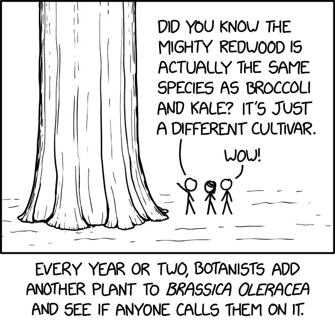 Brassica xkcd.com/2827