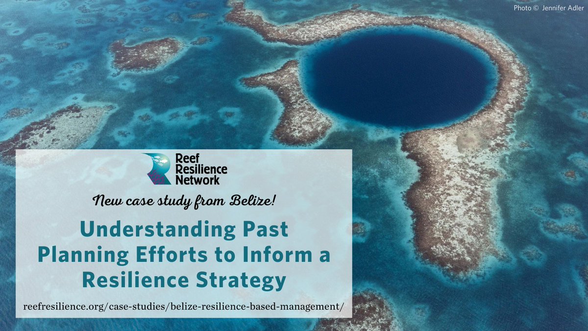 Are you looking to incorporate existing management activities into a resilience-based strategy for your #coralreef area? Find out what they learned in #Belize and how you could apply this process to your work in our latest case study: bit.ly/48e5zlY #RBM