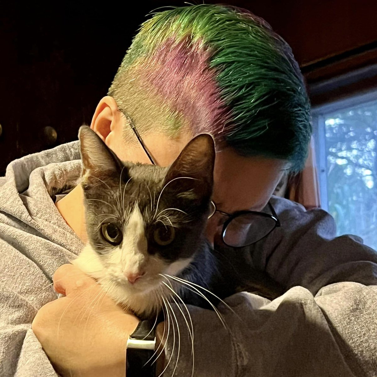 teeniebert's tweet photo. @catvalente Update:  Mama's name is October (Toby).  She has the LOUDEST purr! https://t.co/TmGNr6nRkb