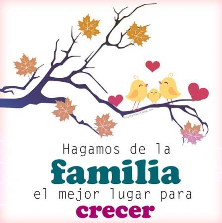 Alejandra Urbina (@auc_koda) on Twitter photo 