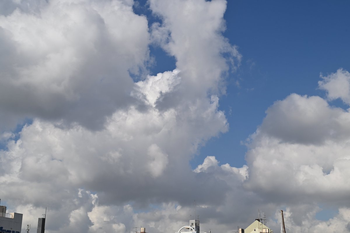 infoweb365days's tweet image. お疲れ様です
特に意味は無いのですが
並べてみたくなりました...

2023/09/12 08:14
← #NikonZ5

2023/09/12 08:18
→ #EOSM200