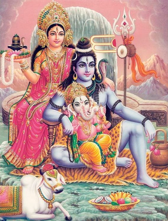 🌺🌸🌺माता शक्ति पार्वती पिता महादेवा 🌺🌸🌺
