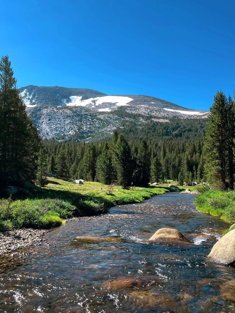 hanahamoon's tweet photo. Tunnel View, Bridalveil Fall, Lower Yosemite Fall every waterfall is there, the mountain does not see me, I see the mountain. Took the Easy route, more than 2 hours round trip, mirror lake's water is as shallow as a pond. half Dome and other physical upgrades! https://t.co/Z2o2v5iV3I