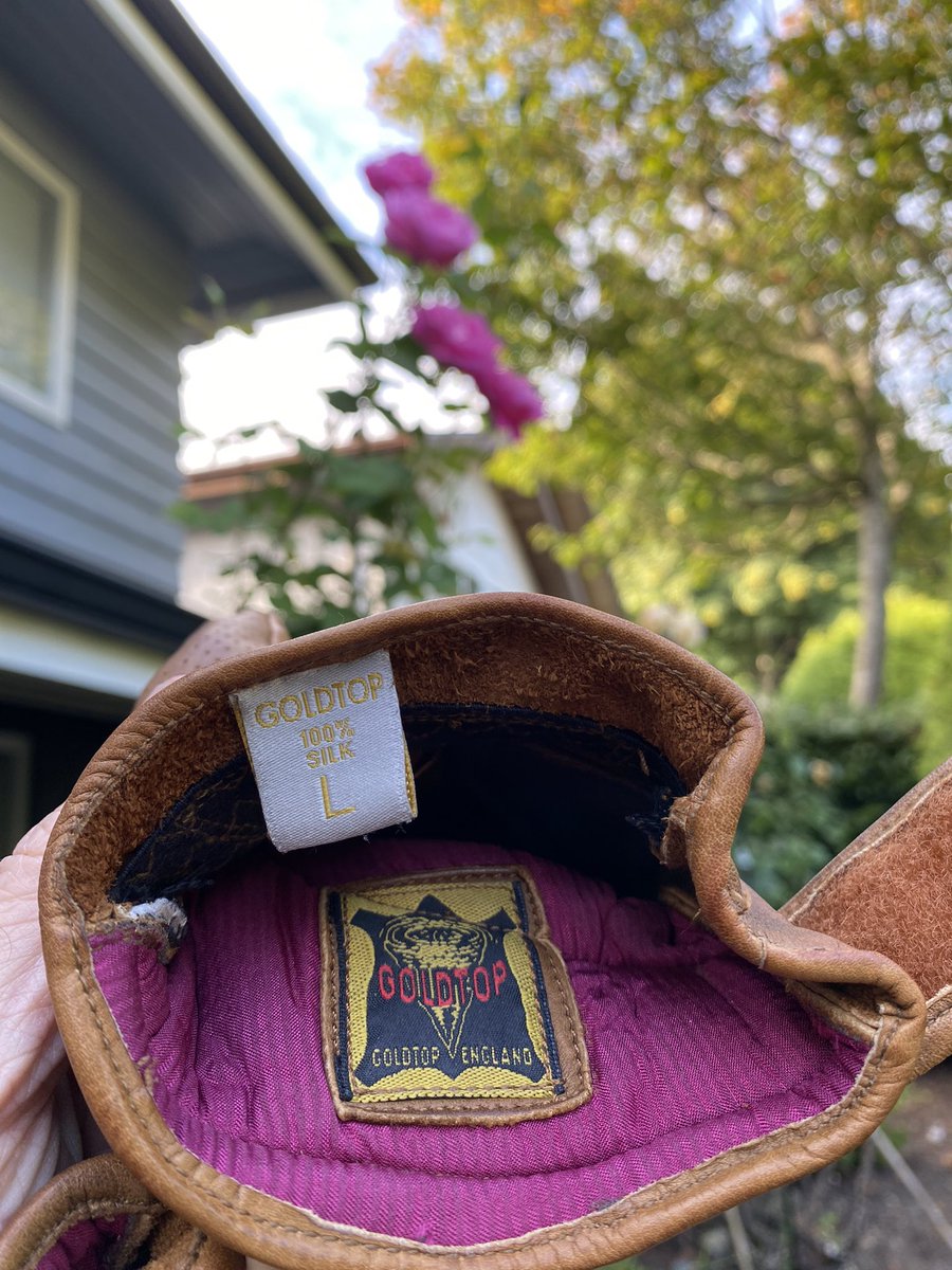 When the silk lining of your <a href="/GoldtopEngland/">Goldtop</a> Viceroy gloves match the roses in your garden. #GoldtopEngland #GoldtopViceroy