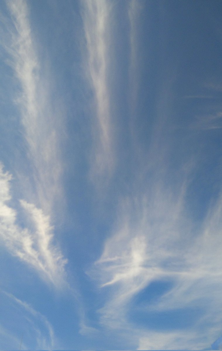 les_nuages_'s tweet photo. まだ暑くて、夏がまだそこにあって、まだそんなに、寂しくはない…。
雲が綺麗だなあと思って歩いた。 https://t.co/vF5KvsgsAF