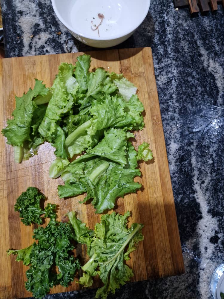 OmogePhysio's tweet photo. Let's be very careful when handling vegetables.
Please immerse in salt and warm water before washing with water alone.
Rinse thoroughly multiple times.
Bought some lettuce and kale yesterday and when we washed, this is what we found.

All gone to trash. https://t.co/mAjoQsy1IU