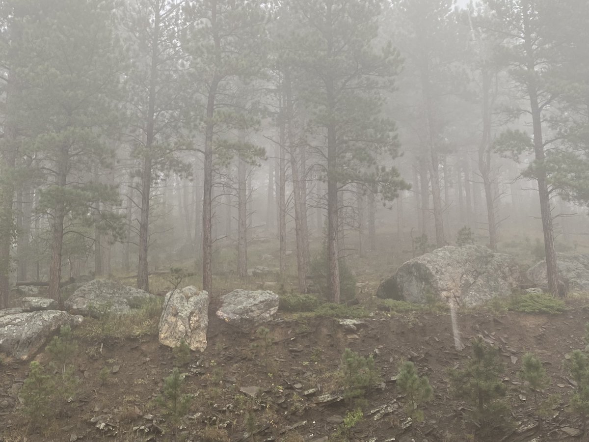 BuddyBisonTrips's tweet photo. Mount Rushmore (in heavy fog)
September 2023
#buddybison https://t.co/DQPbOvBT6N