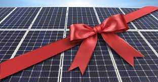 Lottie Peppers tweet media