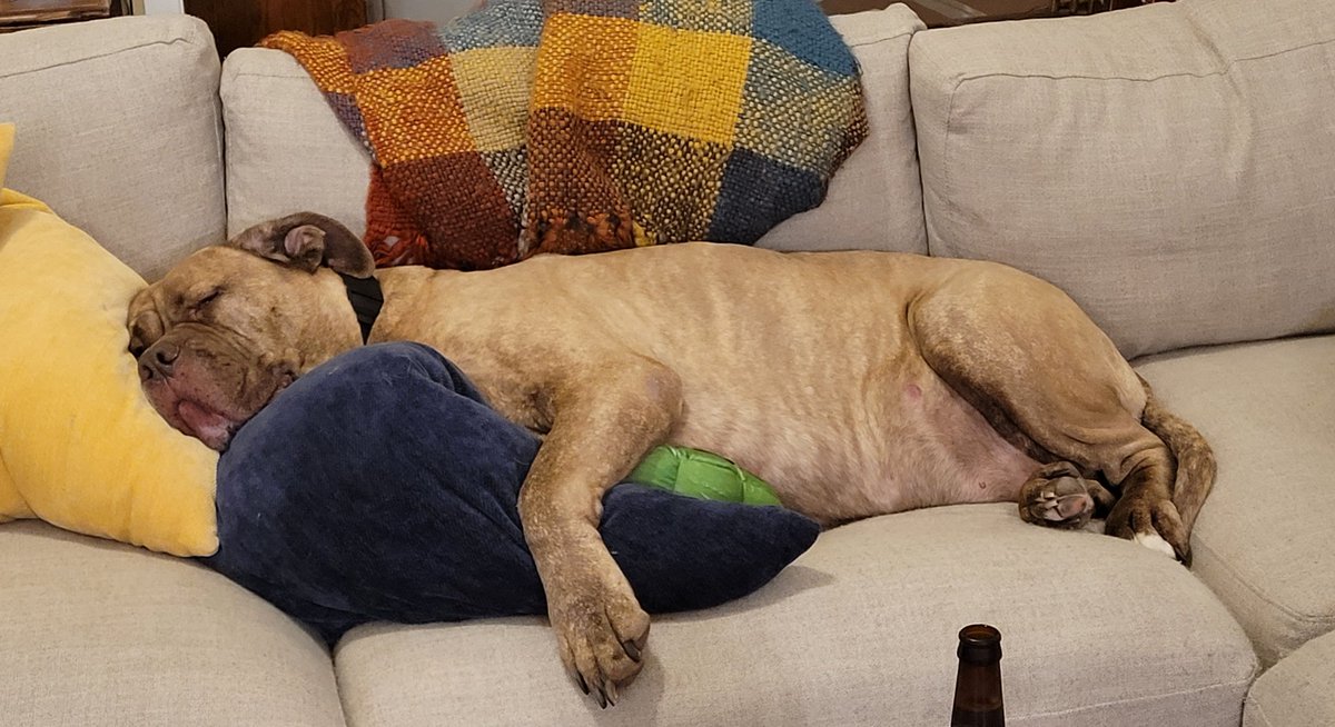 I think he needs more pillows, @TheTattooedProf