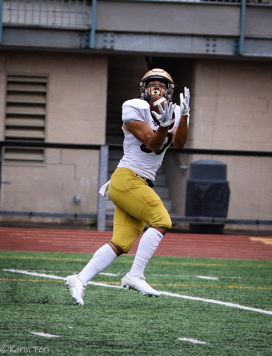 Karin Peri tweet media