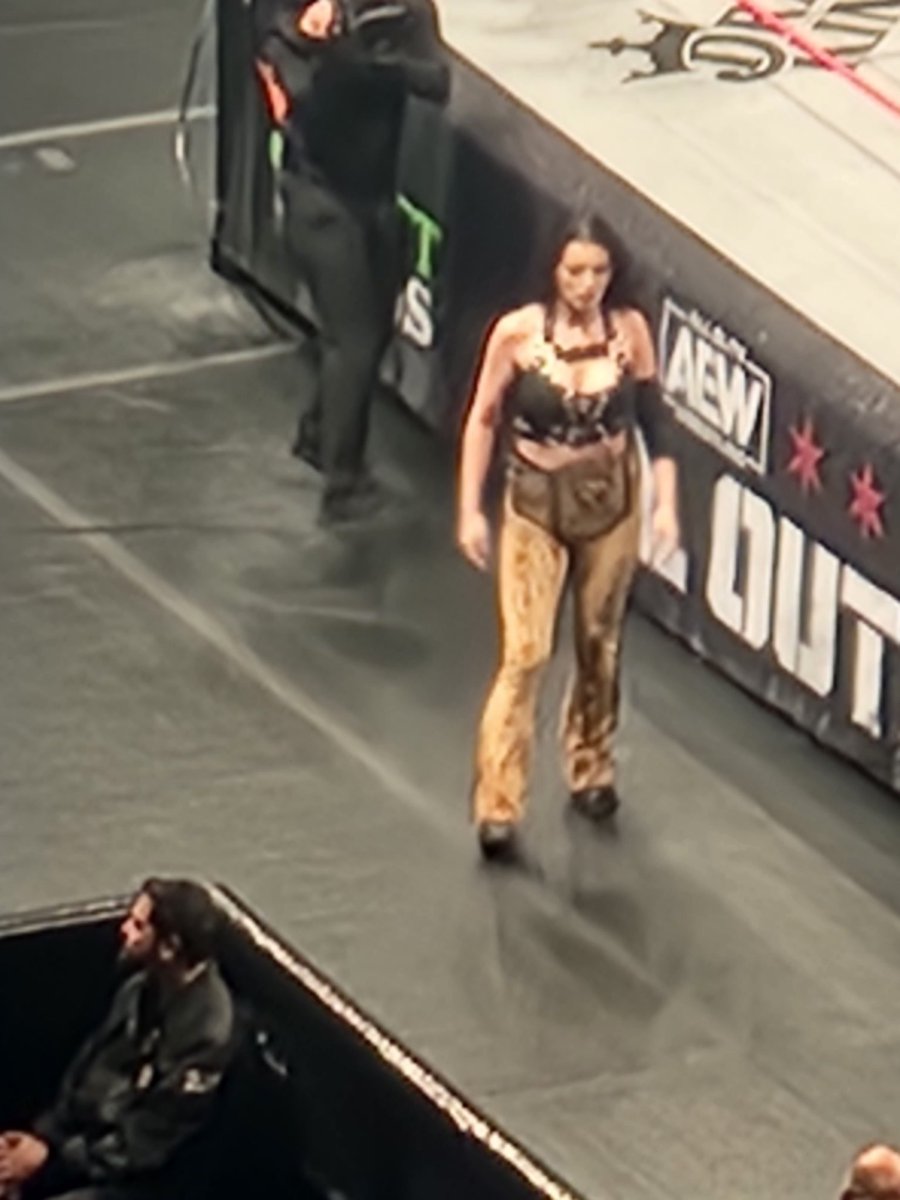 invertedmerc's tweet photo. Late post and not the best pic coming from the 300 sec of the united center but after years of being a fan i finally got to see @Saraya live wish she had a match that night but just getting to see her wearing a title she rightly deserves again was worth it 4 me #AEWAllOut https://t.co/pHnno2IqbX
