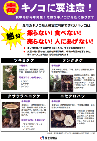Ibaraki_Shoku's tweet photo. 秋は毒キノコの食中毒が多発します！

長年キノコ狩りをしている方も、十分注意してください。
いつもの場所に毒キノコが生えているかもしれません。
食用と確実に判断できないキノコは絶対に「採らない・食べない・売らない・人にあげない」の徹底を！
#茨城県　#毒キノコ　#食中毒 https://t.co/2AN6SZywt2