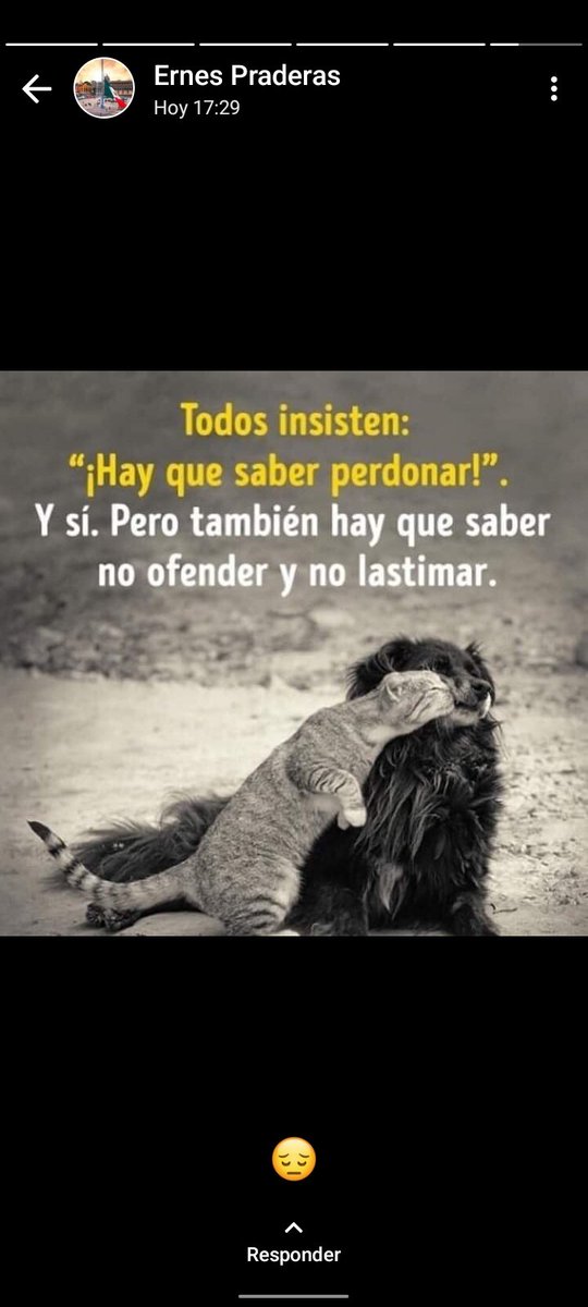 Andy Miranda (@andymiranda95) on Twitter photo 