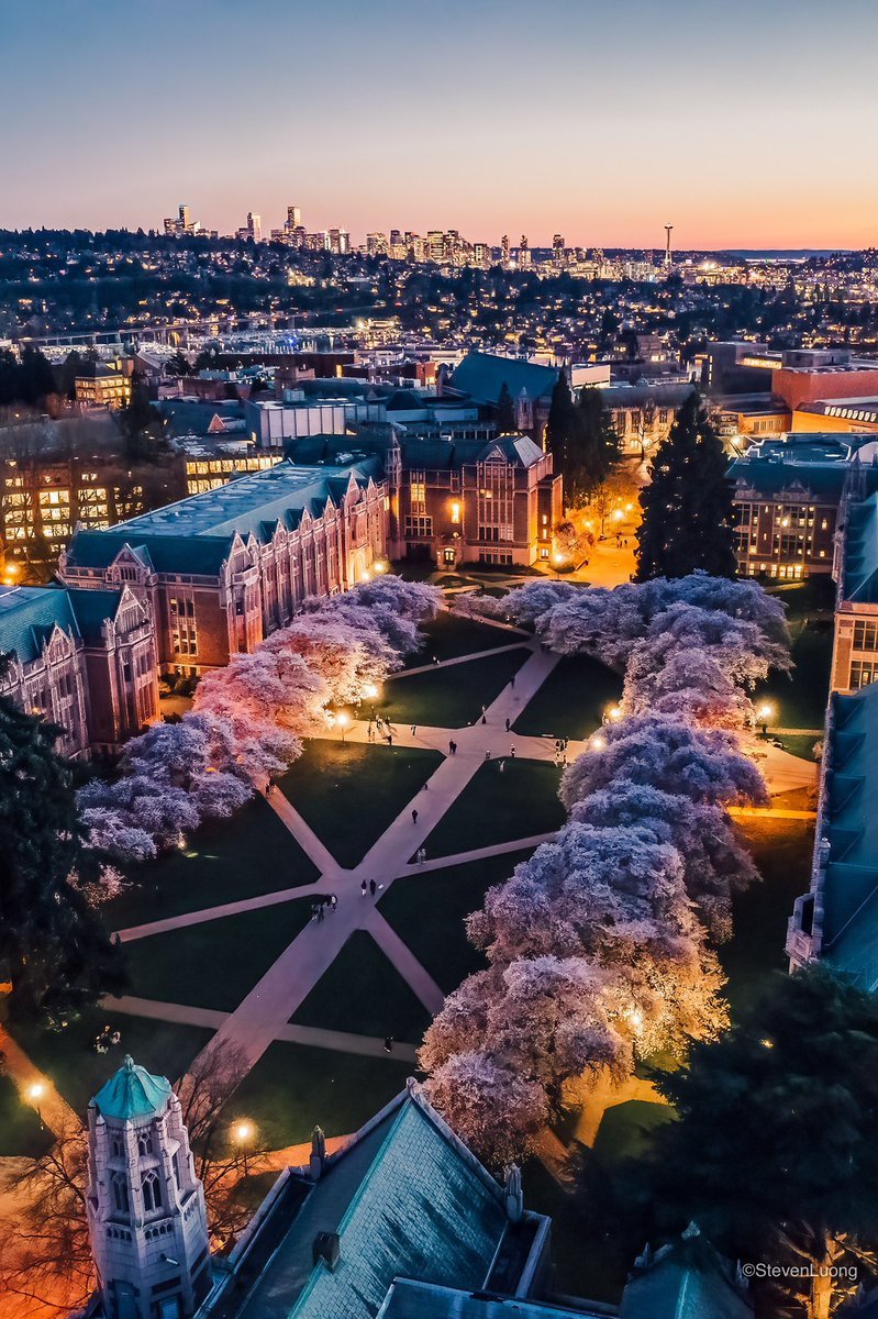 JOIN US IN BEAUTIFUL SEATTLE! 🌸 We have 2 TT positions in the @UWArtSci Law, Societies & Justice Department. I’m on the search committee and happy to talk values, culture, etc. PLEASE SHARE! Applications received by September 17 are guaranteed full consideration.